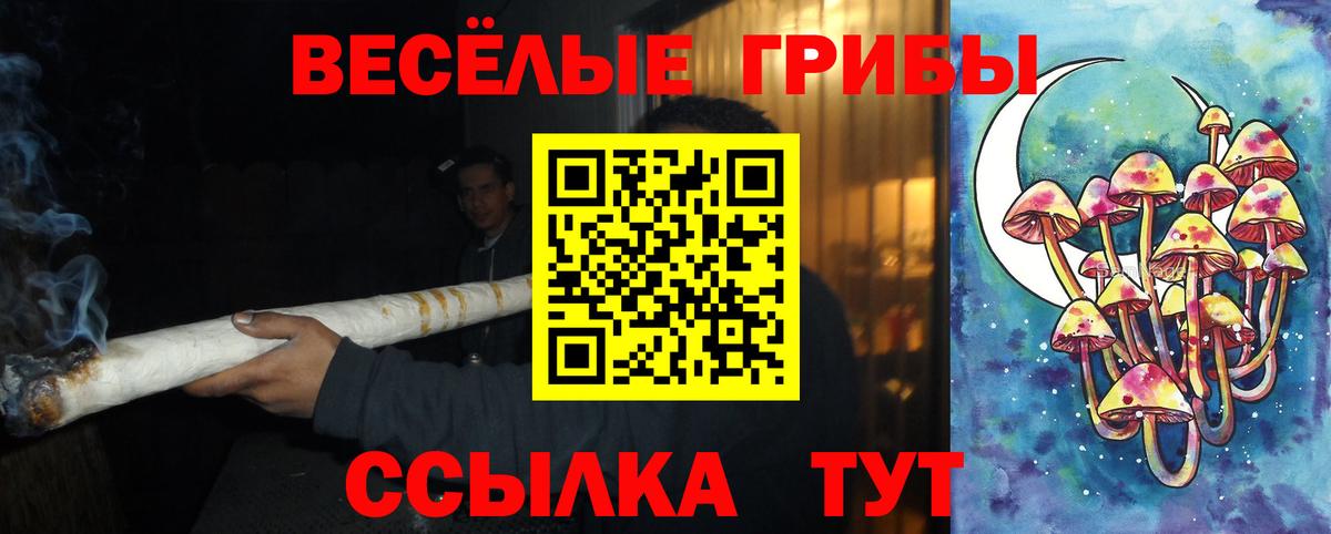 Галлюциногенные грибы Psilocybine cubensis  Галлюциногенные грибы GOLDEN TEACHER  Вход с VPN  Владивосток 